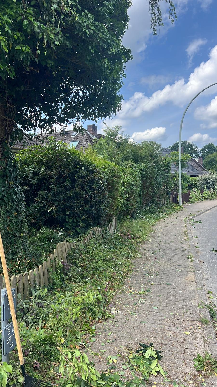 Heckenpflege mit professioneller Schneidetechnik durch Hauszeit E&B in Hamburg und Umgebung